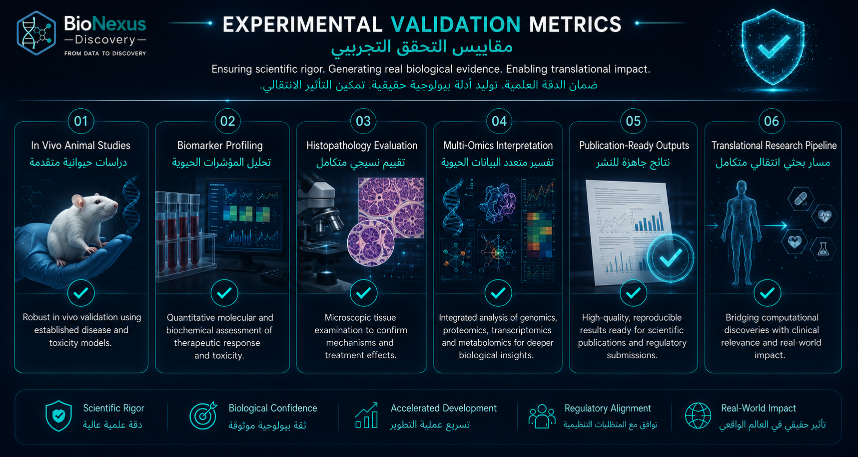 Experimental Validation Metrics Dashboard