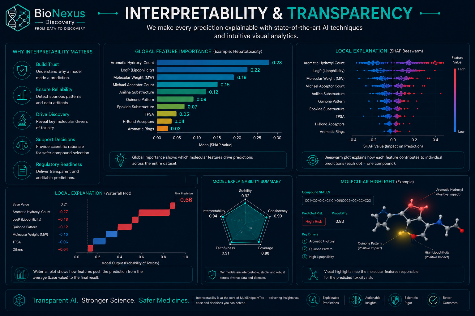SHAP Explainability — Transparent AI Decisions