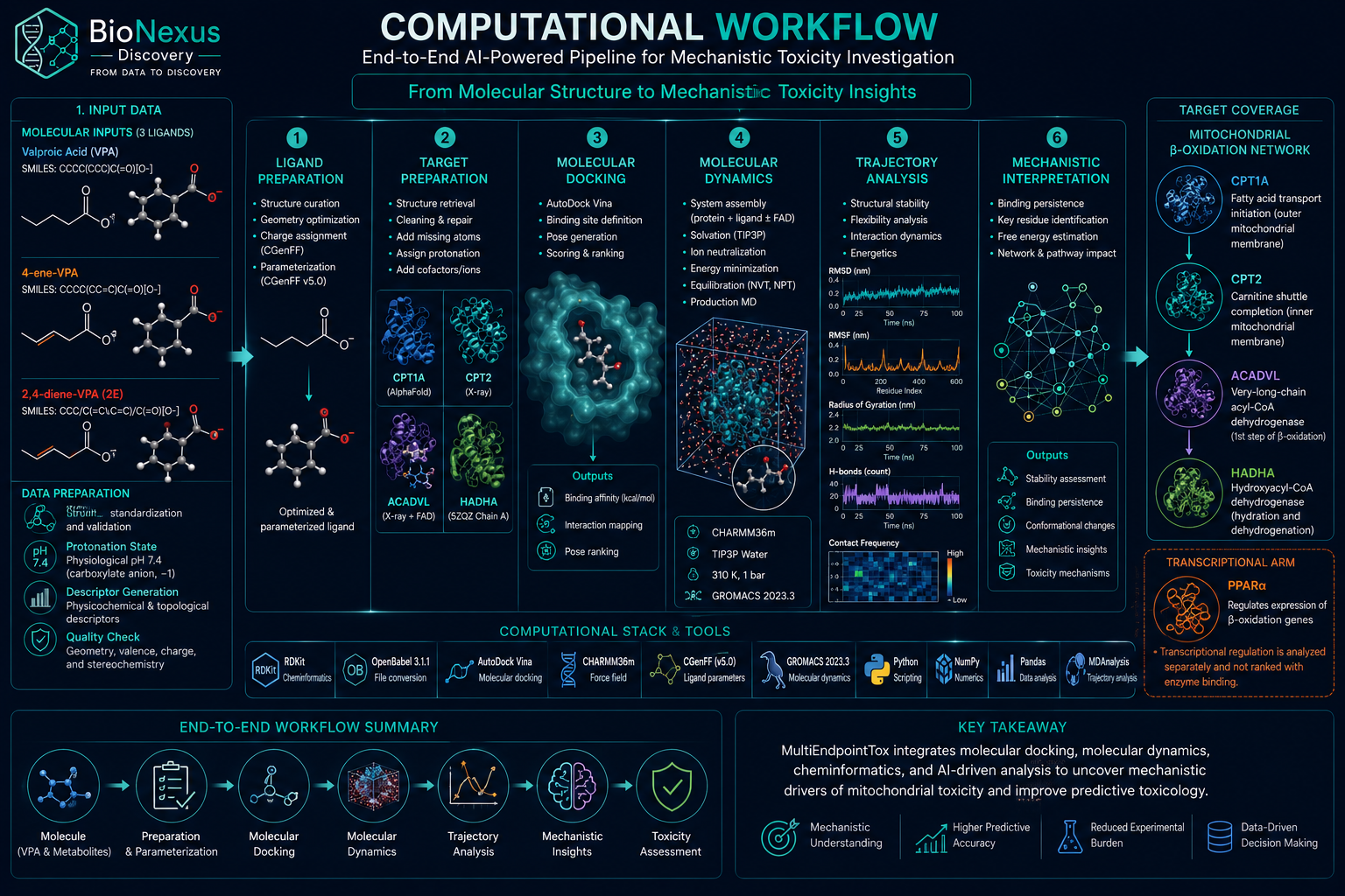 AI-Powered Computational Toxicology Workflow