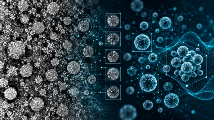 Nano-formulation and nanoparticle drug delivery research